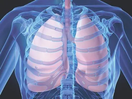 Alattomos tuberkulózisbacilus baktérium okozza a tuberkulózis