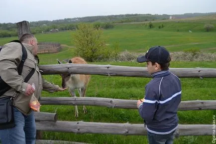 Kudykin Mountain - Park egy családi nyaralás a Lipetsk régió utazási klub Lucas túra