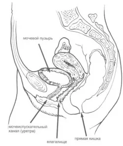 Hólyaghurut otthoni kezelés - betegségek kezelése - orvosi portál - klinikák, orvosi ellátás