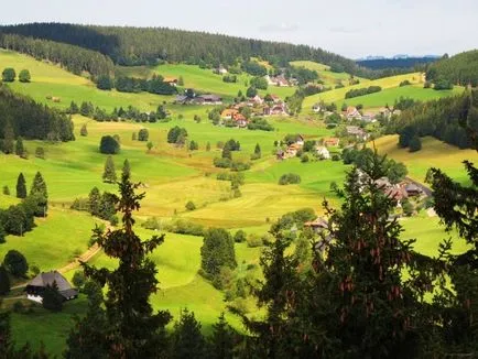 Forest Fekete-erdő