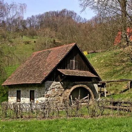 Forest Fekete-erdő