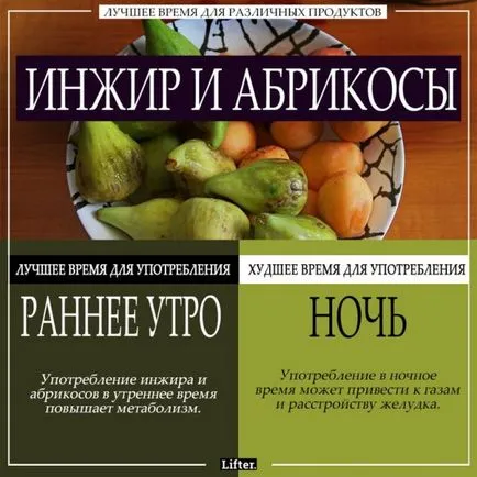 Най-доброто време да се хранят най-различни храни, които сутрин, обед и дори през нощта - в потока на пари