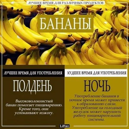 Най-доброто време да се хранят най-различни храни, които сутрин, обед и дори през нощта - в потока на пари