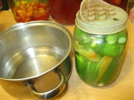 Pickles ropogós