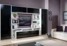 Mobilier pentru fotografii cameră în apartament, interiorul camera de zi, cum de a selecta și locul, ce fel, frumos