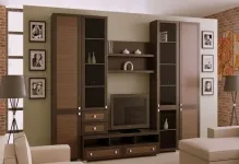 Mobilier pentru fotografii cameră în apartament, interiorul camera de zi, cum de a selecta și locul, ce fel, frumos