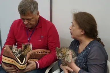 Международната Cat Show открита в Иркутск Sibexpocentre