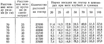 Засаждане на картофи през 1951 г. и Михалев