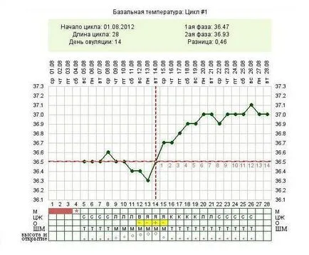 позицията на маточната шийка - допълнителен признак на овулация