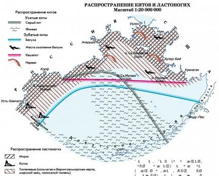 България море - Берингово море