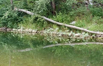 Muradymovskoe Gorge hogyan juthatunk el oda, hogy mit lehet látni, hol élnek, fotó