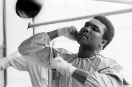 Campion de formare Muhammad Ali