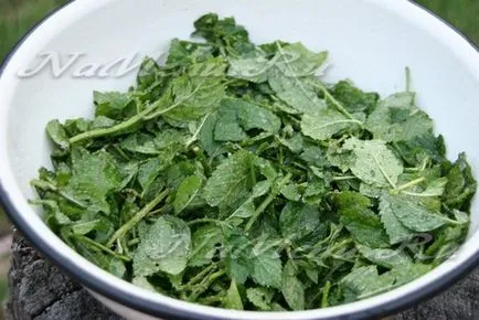 Menta szirup recept