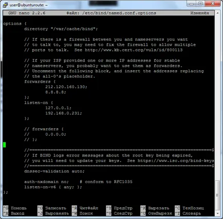 Configurarea serverului DNS pe ubuntu