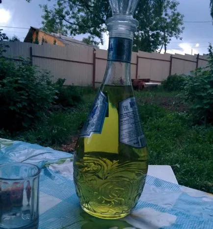 Tinktúra fekete ribizli recept vodka és holdvilág