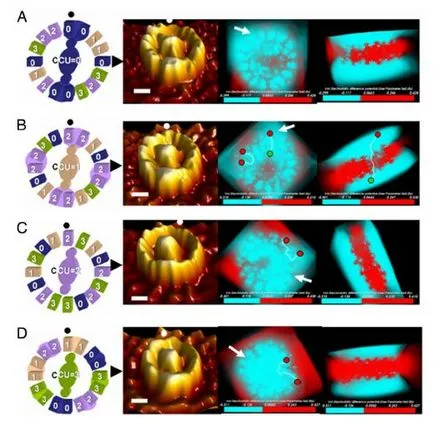 Egy új típusú forradalmi 16 bites nanocomputer, nanotechnológia nanonewsnet