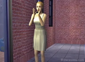 Felülvizsgálata községek és titkos társasága az egyetem a Sims 2 Egyetem