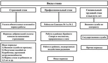 Lungimea totală a conceptului de servicii, tipurile și valoarea, procedura de calcul