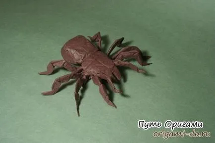 schema de Origami Tarantula de Roberta Lenga Jo Nakashima - calea de origami