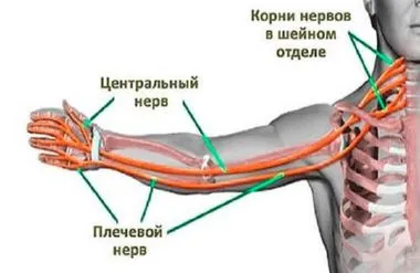 Osteochondrosis idegi tünetek és a kezelés