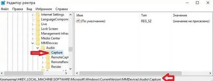 Pentru a dezactiva microfonul în Windows, în timpul săptămânii de suport tehnic