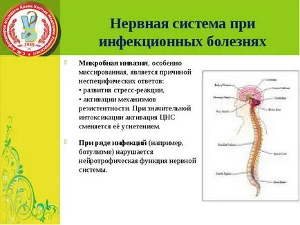 Fiziopatologie infecției - prezentarea raportului, proiectul