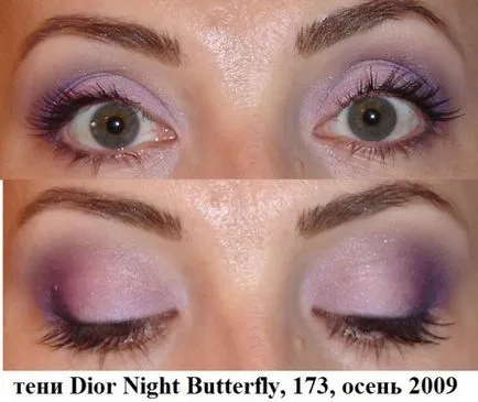 Eyeshadow Palette Диор нощ пеперуда, №173, Колекция Есен 2009 мнения