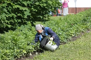 Munca este întotdeauna util!