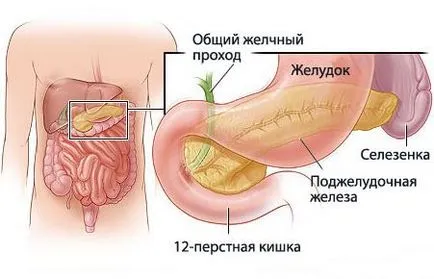 Cauzele bilă în fecale tuturor pankreotit