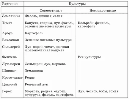 site tervezése - együtt-tenyésztése hagyma, répa - a könyv „”