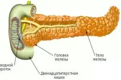 Получаване на ултразвук на панкреаса