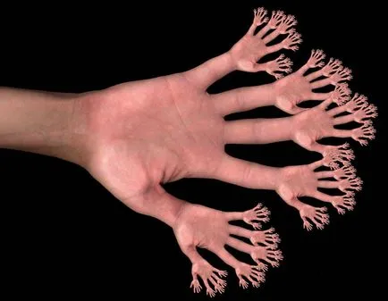 Miért az öt ujj egy ember a pokol