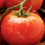 Tomate compoziție, utilizarea și proprietățile tomate, tomate în cosmetologie