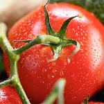 Tomate compoziție, utilizarea și proprietățile tomate, tomate în cosmetologie