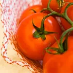 Домати състав, използване и свойства на доматите, домати в козметологията