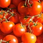 Tomate compoziție, utilizarea și proprietățile tomate, tomate în cosmetologie