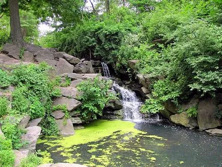 O excursie în Statele Unite, New York City