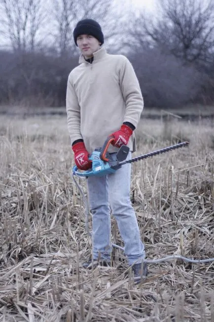 Szilveszter gyűjtése nád Ryshkov, eco-Moldova