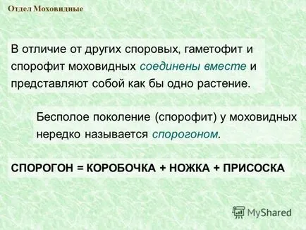 Представяне на разпространение Мос Bryophyta наука се занимава с изучаването на мъхове се нарича