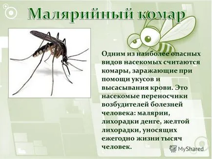 Prezentarea pe vectori de boli infecțioase sunt adesea insecte