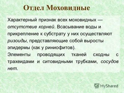 Представяне на разпространение Мос Bryophyta наука се занимава с изучаването на мъхове се нарича