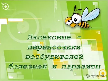 Представяне на вектори на инфекциозни заболявания са често насекоми