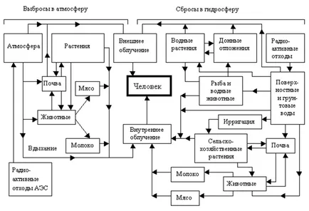 Радиоактивно замърсяване на околната среда на човека