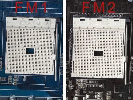 AMD процесори, как да се избират