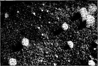 Utilizarea unui microscop electronic