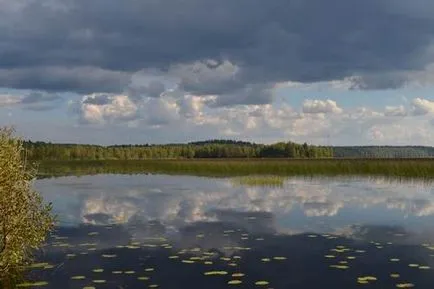 Programul Vorontsova Aleksandra - samolovka stiuca