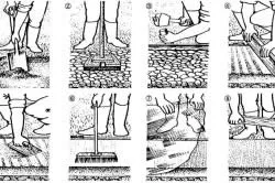 dale grădină cu mâinile lor instrumente și materiale, etapele de fabricație (foto)