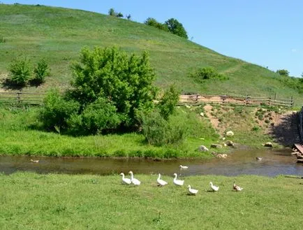 Safari Park - Kudykin hegy - a Lipetsk régió