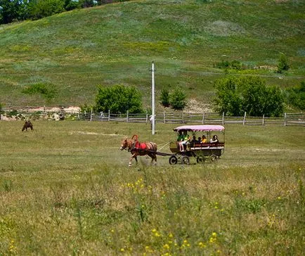 Safari Park - Kudykin hegy - a Lipetsk régió