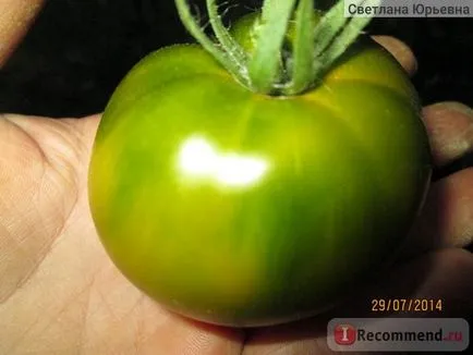 Семена биотехниките Домат Emerald Apple - 